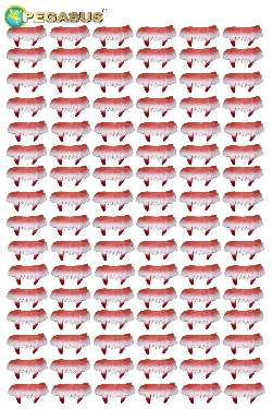 DENTI CONTE DRACULA (CF 96 PZ)